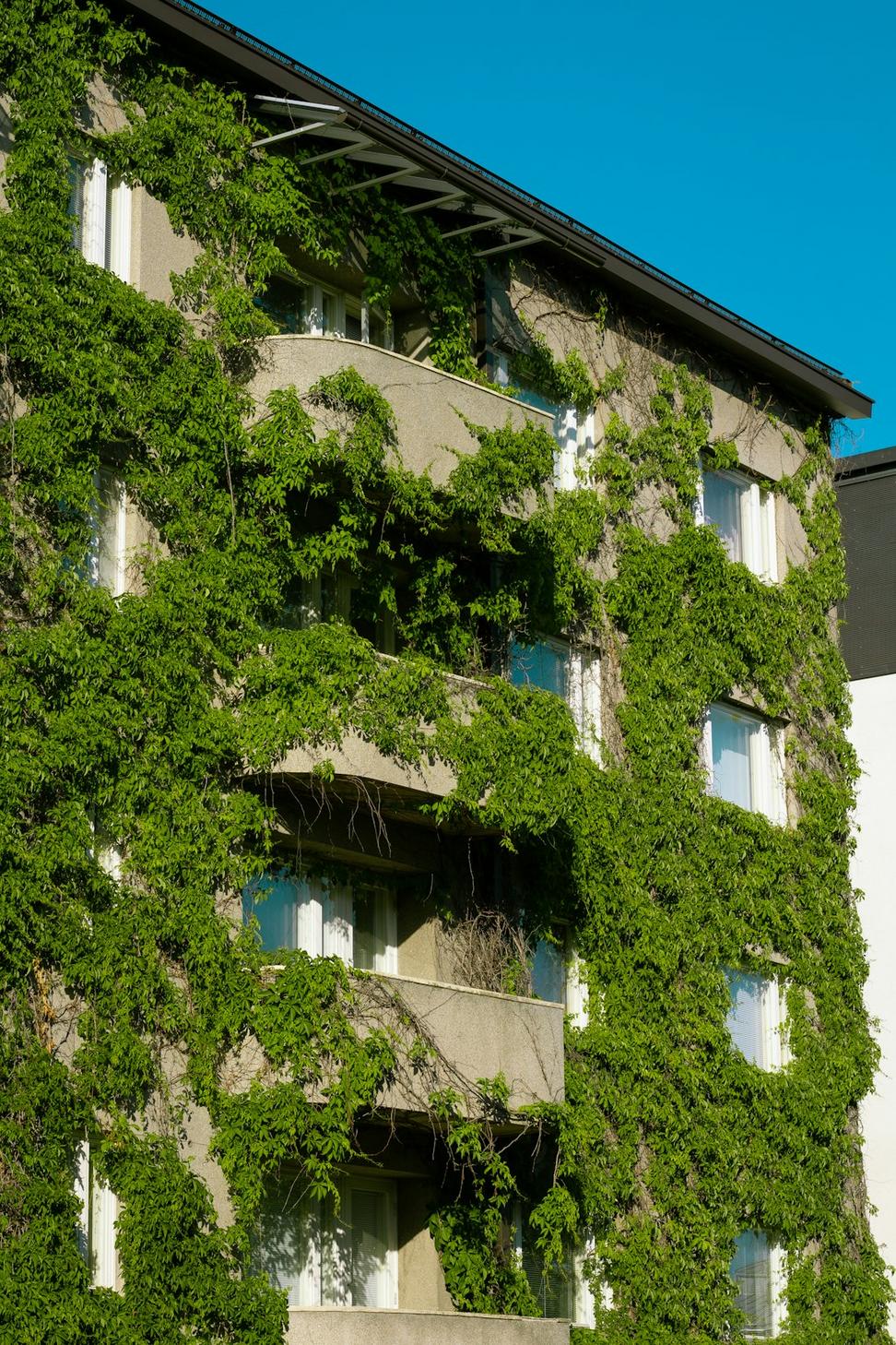 Sustainability initiatives